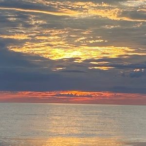 Meet your Posher, Gracie